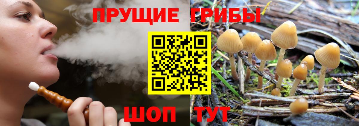 где купить   Псилоцибиновые грибы GOLDEN TEACHER  Вход с VPN  Гулькевичи 